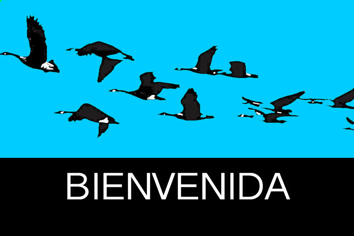 Bienvenida