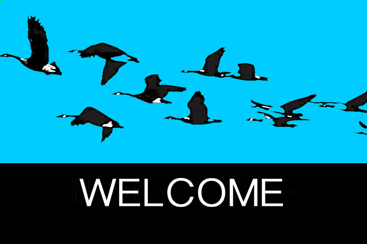 Welcome
